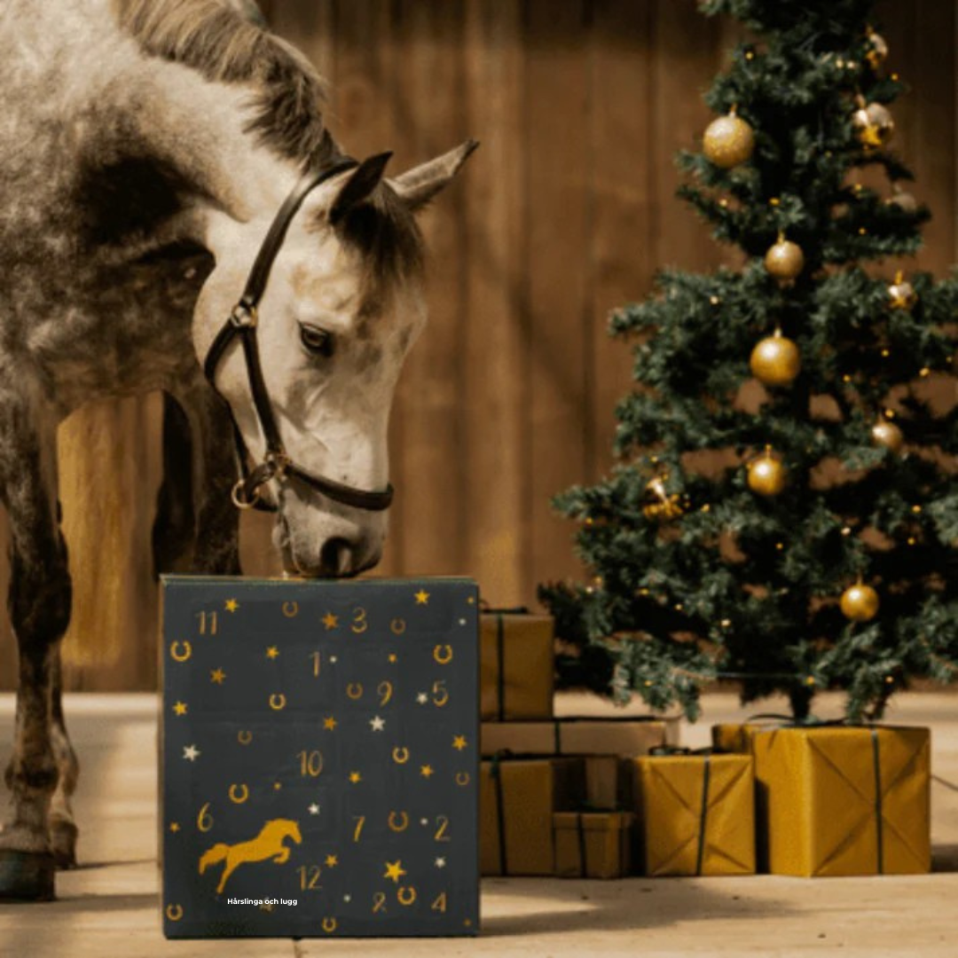 Horse Lover Advent Calendar with 24 Stable Surprises