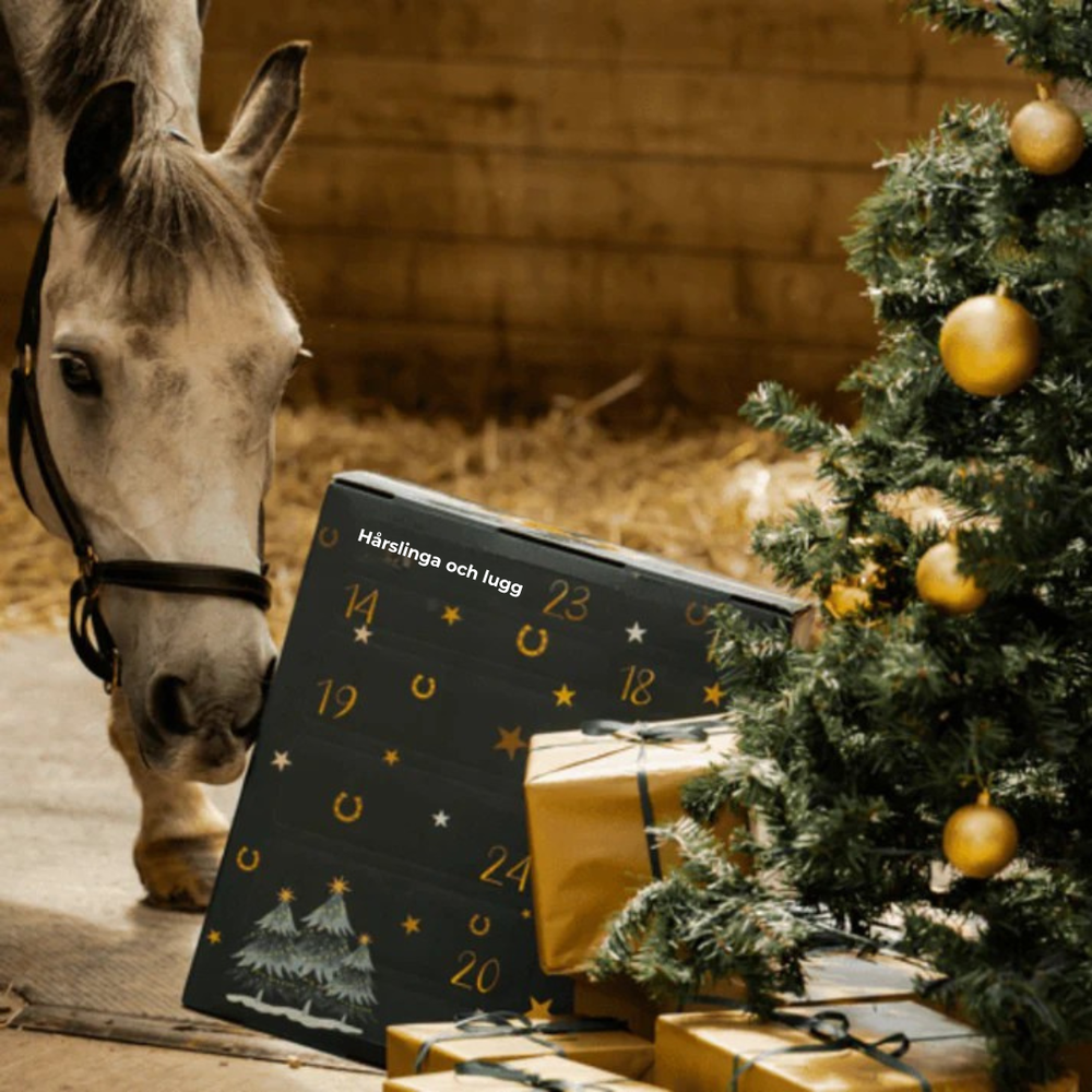 Horse Lover Advent Calendar with 24 Stable Surprises