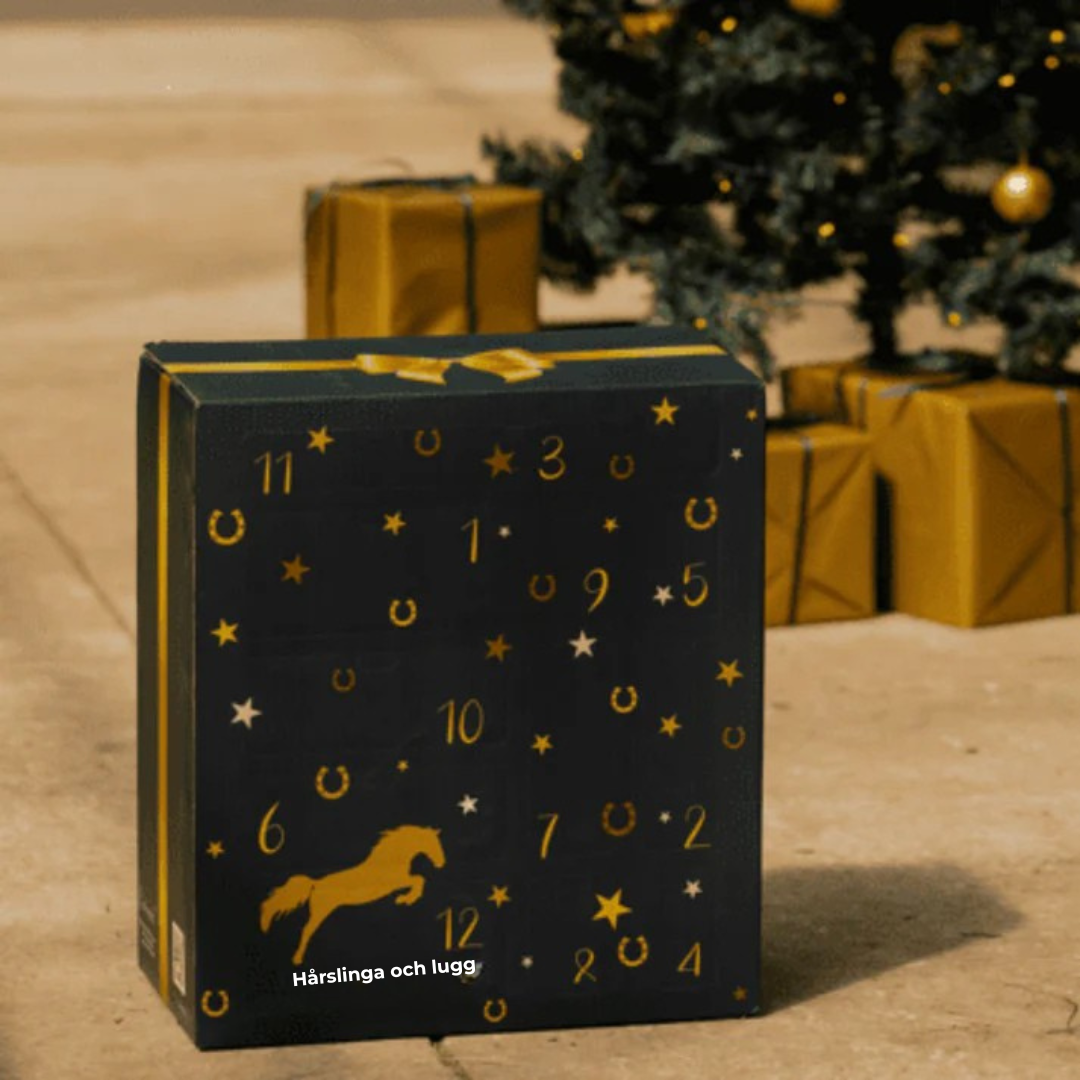Horse Lover Advent Calendar with 24 Stable Surprises