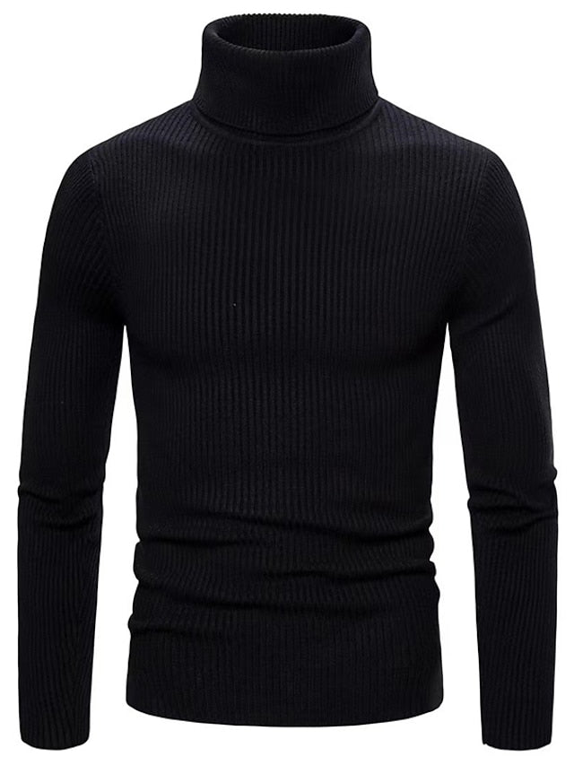 Lars™ | Men's Slim Ribbed Turtleneck Sweater