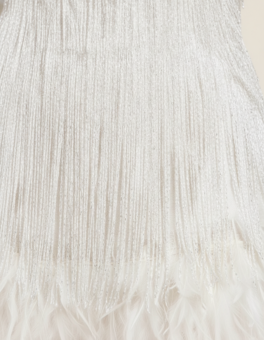 Jehanne™ | Women's Beaded Fringe Mini Dress with Feather Hem